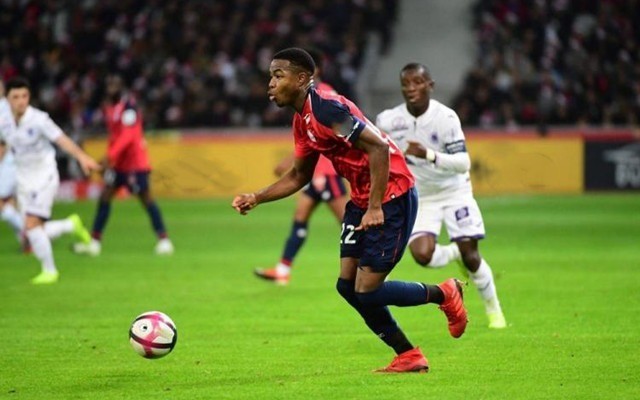 弹跳和协防 弹跳和协防