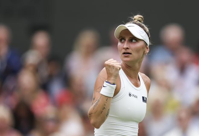 的技术水平 的技术水平