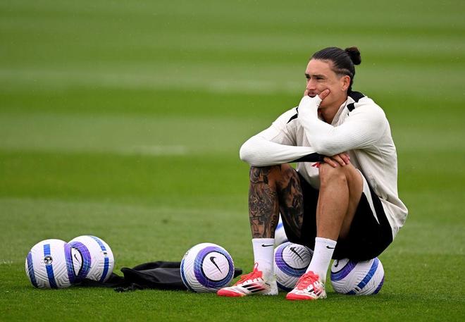 明星球员的 明星球员的