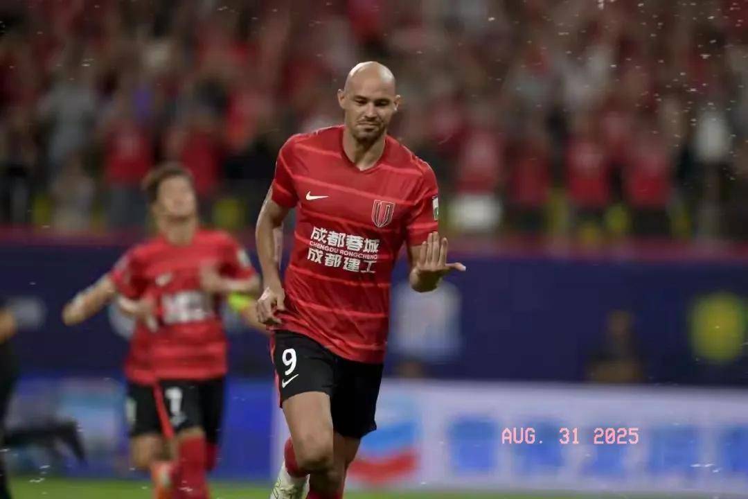 洲范围内的 洲范围内的