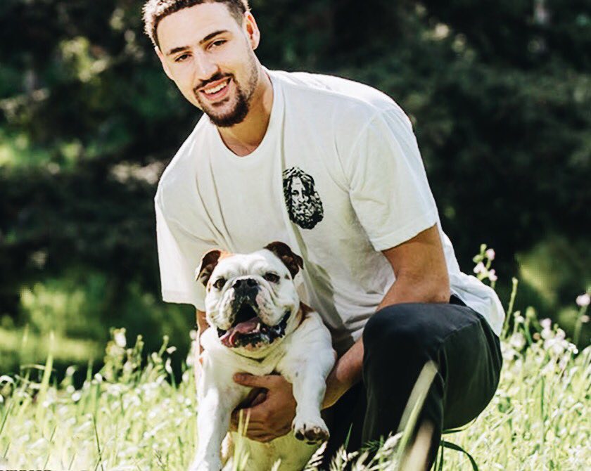 核心体验的 核心体验的